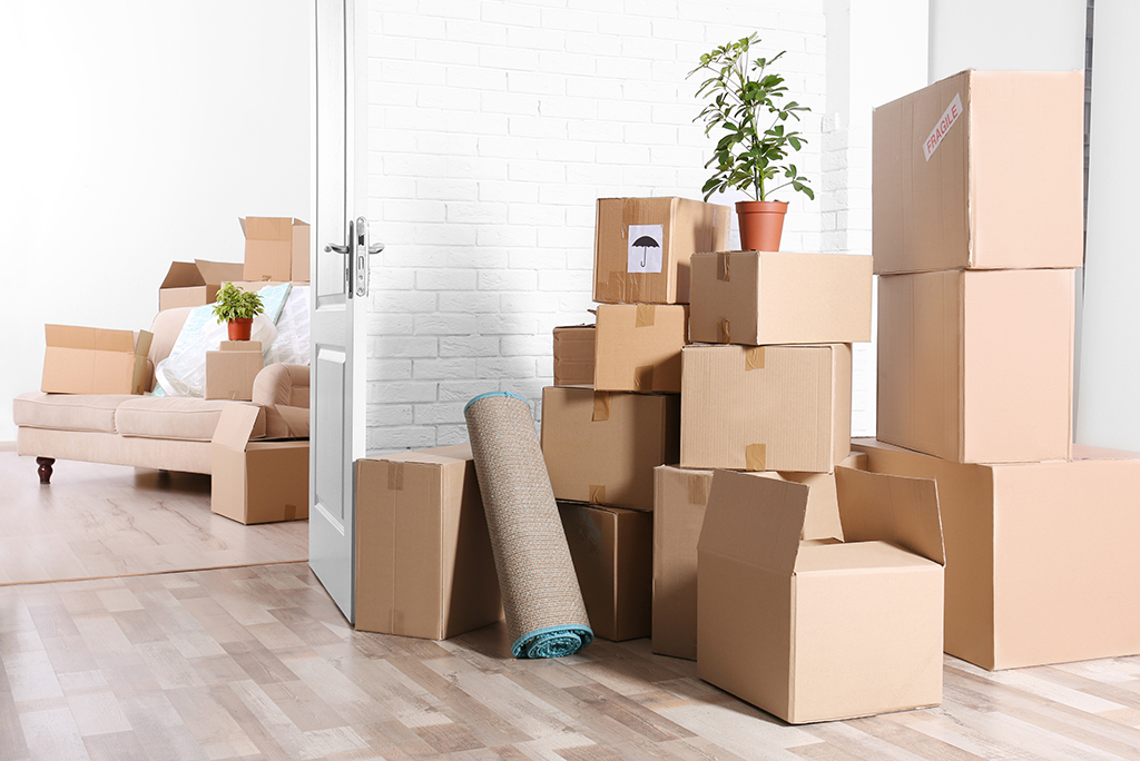  MOVING BOXES: BUY, BORROW OR GO ECO-FRIENDLY?