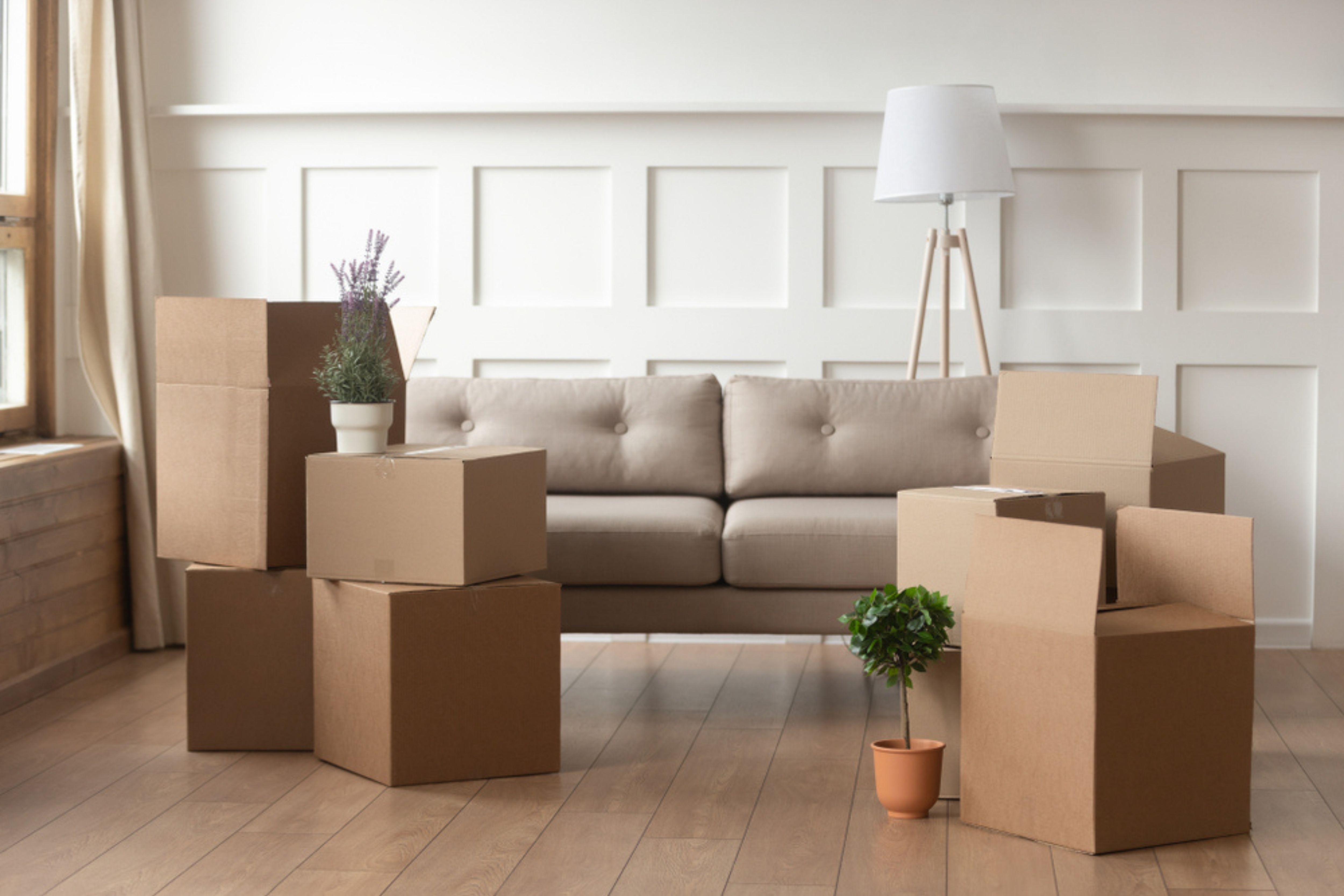  Moving on a Budget: Navigating Low-Price Movers with Ease